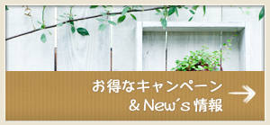 お得なキャンペーン＆New's情報