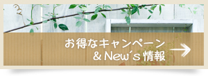 お得なキャンペーン＆New's情報